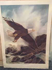 Very Nice Eagle Print