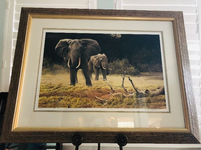 African Elephant, Framed Art