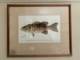Antique Denton Fish Prints