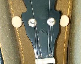 Lida Banjo  good shape