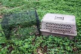 Pet Carriers: $5.00ea.