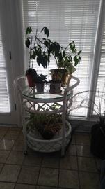 Glass and wicker two tiered plant stand on rollers