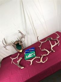 Antlers