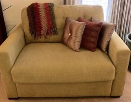 This is a twin sofa bed.