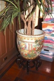 Potted Plants in Colorful Pots