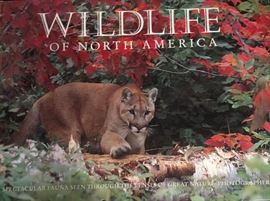 Wildlife of North America