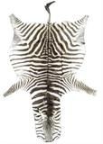 Full size zebra skin rug