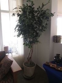 Tall Floor Potted Tree