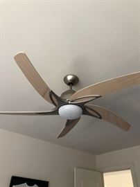 Designer ceiling fan and light