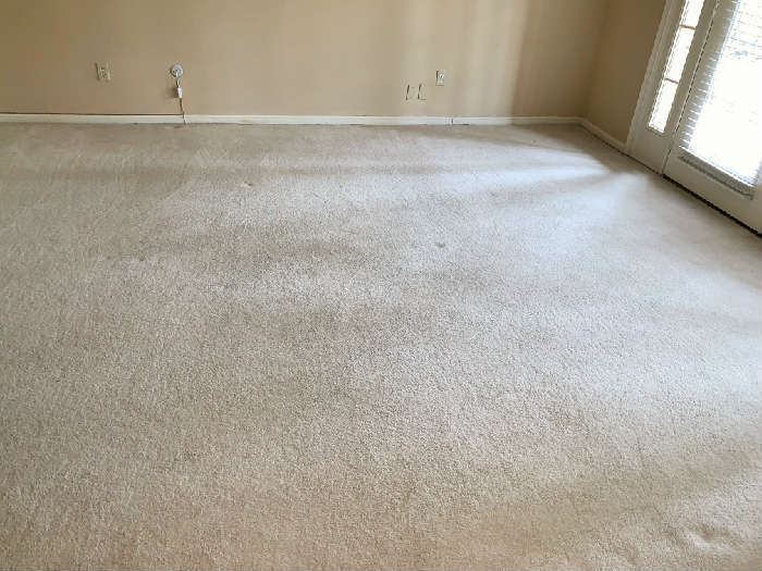 Nice Carpet