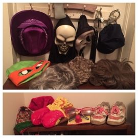 Wigs, Masks and Costume Accessories