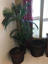 One of 3 faux palm trees and a few of the baskets