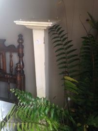 Another fern; plant stand