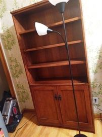 Floor Lamp and Bookcase 