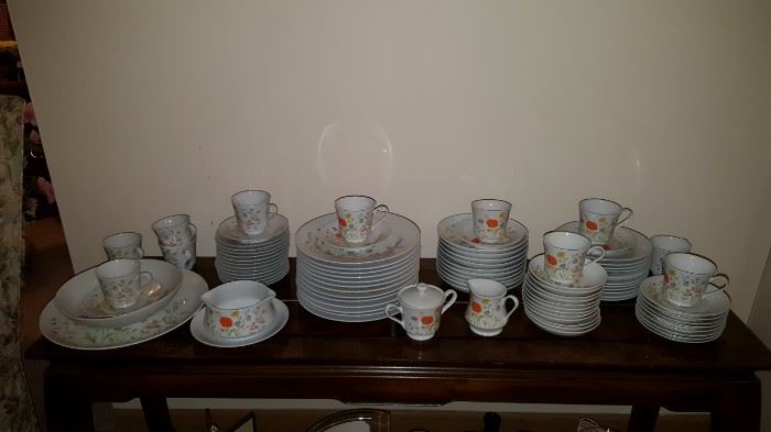 China Service For 12 Microwave Safe