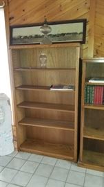 Book Shelves
