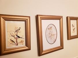 Bird framed prints