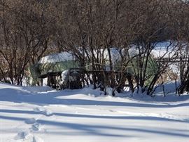 Fiberglass canoe (approx. 30 years old), sitting on top of a pair of saw horses.  Bring your boots!