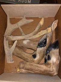 Deer feet to use as gun racks! And antlers too!