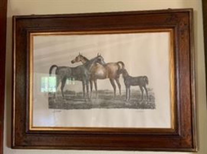 Throughbread horse print