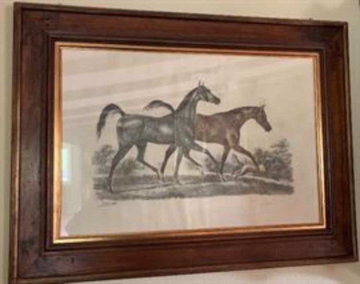 Throughbred horse print