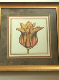 Tulip Print. 