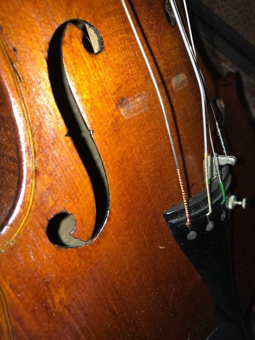 Close up Violin