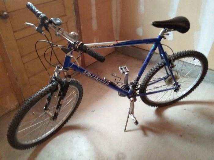 Trail Bike