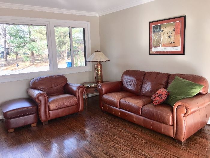 Leather living room furniture