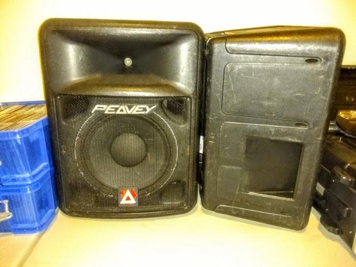 Two "Peavy" Speakers.