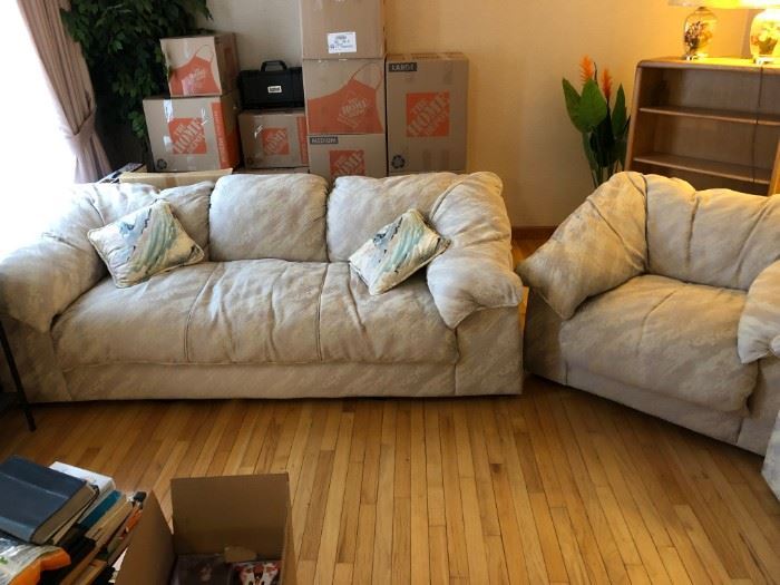 Sofa and Chair: Full soft cushion, light gray. 