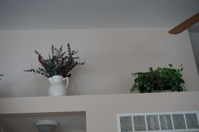 more plants