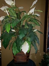 Indoor artificial silk plant. https://ctbids.com/#!/description/share/104322