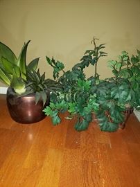 Artificial silk plants. https://ctbids.com/#!/description/share/104328