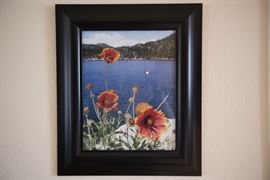 Framed Art-Daisy
