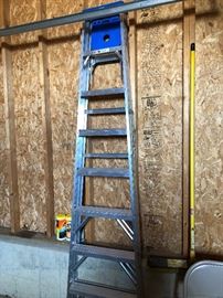 10 Ft Werner ALuminum Ladder