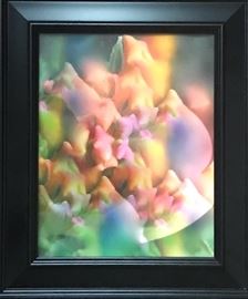 Framed Signed Abstract Print