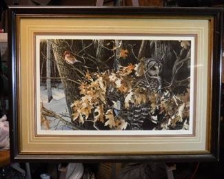 Wild wings Winter oaks Barred owl and finch print ...