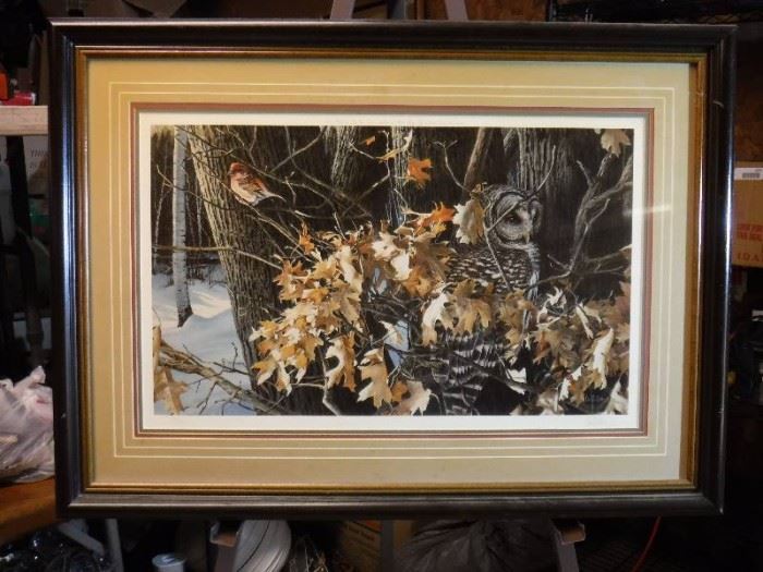 Wild wings Winter oaks Barred owl and finch print ...