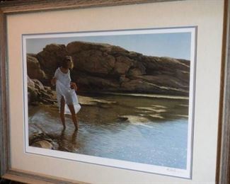 Framed signed and numbered catching the sun By ...