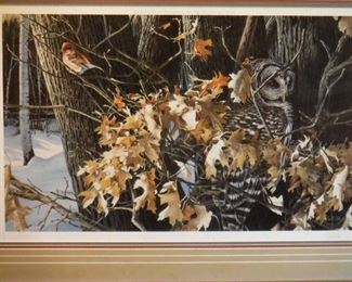 Wild wings Winter oaks Barred owl and finch print ....