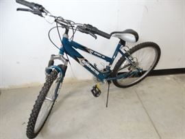 Blue Offroad Bike