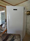 upright digital freezer