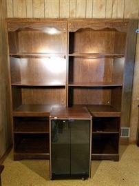 Three Bookcases https://ctbids.com/#!/description/share/103809