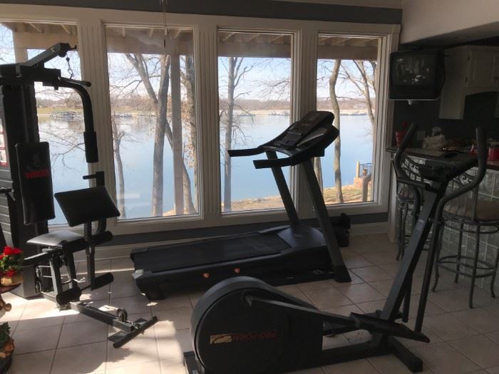 WEIDER HOME GYM - PRO-FORM AND TREADMILL