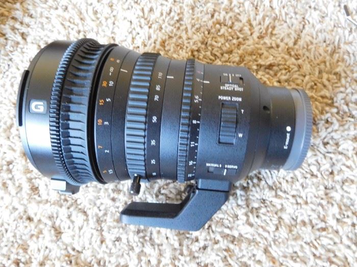 Sony 18 to 110 Zoom Lens