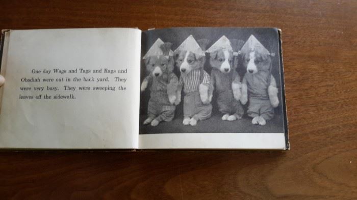 Vintage Four Little Puppies Story Book by photographer Harry Whittier Frees
