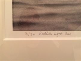 Signed Tony Ames Reddish Egret Two Print