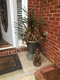 Lots of real plants for sale