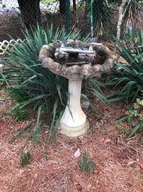 birdbath